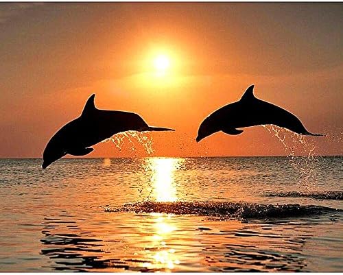 New 5D DIY Diamond Painting Dolphin Embroidery Full Diamond Cross Stitch Sunset Water Dolphin Rhinestone Mosaic Painting