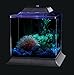 Koller Products 1.5-Gallon AquaScene Aquarium with LED Lighting