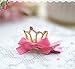 Joyci Infant Girl's Diamond Crown Hair Pin Princess Hair Clips Kids Party Hair Accessory