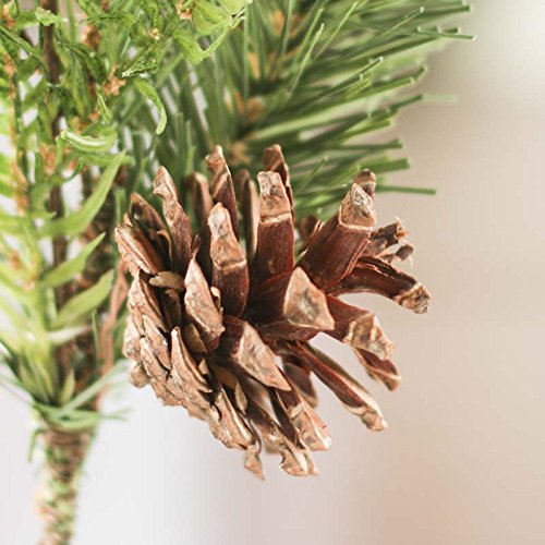 Factory Direct Craft Group of 4 Artificial Winter Pine and Pinecone Embellishing Picks
