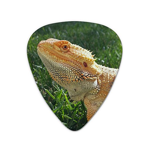 Bearded Dragon in Profile Novelty Guitar Picks Medium Gauge - Set of 6