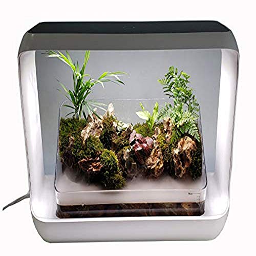 reptile waterfall kit