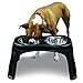OurPets Elevated Bone Feeder Raised Dog Bowls Feeding Station