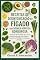 Livro Receitas de desintoxicação do fígado para doença hepática gordurosa: um livro de receitas de cura à base de plantas para limpar, reverter a DHGNA e recuperar energia