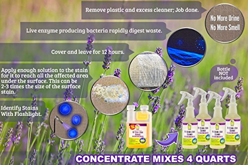 3 Pet+Urine+Stain+Enzymatic+Concentrate