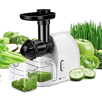 Amazon.com: Flexzion Slow Masticating Juicer Machine