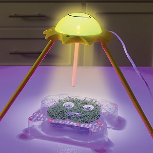 grow light creativity for kids