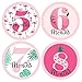 Pink Flamingo - Party Like a Pineapple - Tropical Summer Monthly Baby Sticker Set - Baby Shower Gift Ideas - 12 Piece