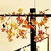 GIAGY Fall Decor,Fall Garland,Thanksgiving Decor,Christmas Decor Lighted Fall Wreath Halloween String Lights [ 14.7 Feet &40 Lights ]