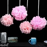 Pom Poms - 15pcs Tissue Paper Flowers,2 Different Colors,2 Sizes, Tissue Paper Pom Poms, Mother's Day decoration, Wedding Decor, Party Decor, Tissue Paper Pink, Tissue Paper Flowers Kit, Wedding, For Baby Shower -Pink and Light Pink