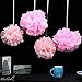 Pom Poms - 15pcs Tissue Paper Flowers,2 Different Colors,2 Sizes, Tissue Paper Pom Poms, Mother's Day decoration, Wedding Decor, Party Decor, Tissue Paper Pink, Tissue Paper Flowers Kit, Wedding, For Baby Shower -Pink and Light Pink