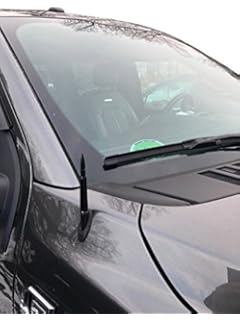 Amazon.com: AntennaX 50 Cal Black Bullet (5.5-inch) Ammo Antenna for Ford  F150: Automotive