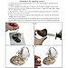 MilkyWay Freshwater Cultured Love Wish Pearl Oyster with Round Pearl Inside for Pearl Gift Fun for Children Family Friends Party Pearl (7-8mm, 10PC)