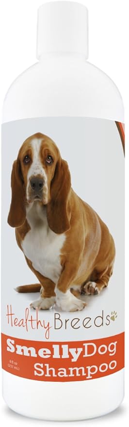 smelliest dog breeds