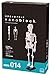 Nanoblock Human Skeleton Building Kit