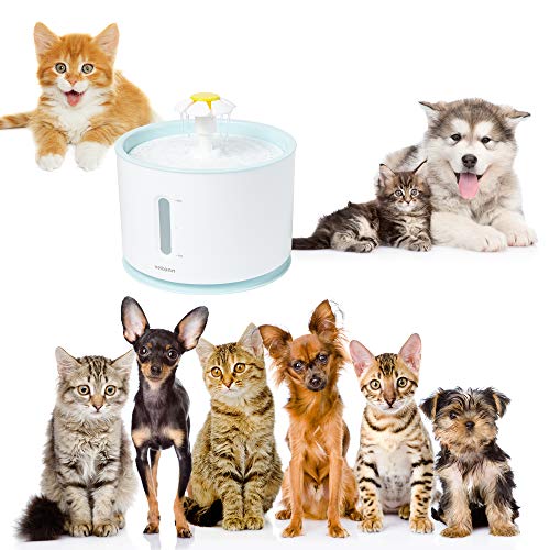 Vekonn Cat Water Fountain (Green) Pricepulse