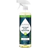 Puracy Laundry Stain Remover for Clothes Laundry - Carpet Stain Remover Carpet Spot Cleaner Couch Stain Remover - Clothes Spray, Free &amp; Clear - Instant Spot Remover, 25 Fl Oz (Pack of 1)