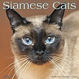 Siamese Cats 2020 Wall Calendar by