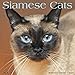 Siamese Cats 2020 Wall Calendar by