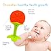 Baby Teether Toys (4 Pack) - Soft Silicone Fruit Teething Toys Set For Toddlers & Infants, Baby Gum Massager by Ashtonbee