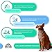 Dog Glucosamine Chondroitin MSM Turmeric Soft Chews by MTM Healthy Pet - All Natural Hip and Joint Supplements for Dogs - For Healthy Joint Function and Dog Arthritis Pain Relief - 120 Soft Chews