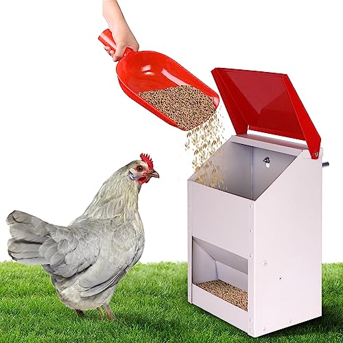 KHEARPSL Galvanized Wall Mount Feeder