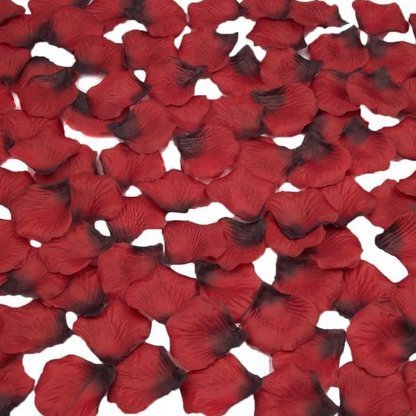 MaxMaxi 4000pcs Artificial Silk Rose Petals for Wedding Favor Party Decoration Carpet Artificial Flowers Petal Bulk Supplies (Red#2)