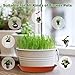XOV Plant Saucer 10 Inch Trays Flower Pot Heavy Duty Plastic Drip Tray for Indoor Outdoor Garden Planter Accessories (Brick red 10 inch)thumb 4