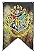 Hogwarts School of Witchcraft Banner for Harry Potter Wizardry Flag Poster Wall Decals Magical Wizard School Crest Party Decoration (Draco Dormiens Nunquam Titillandus)