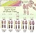 The Original Shoe Tree Company Fresh Cedar Shoe Tree & Shoe Bags for Men (M)