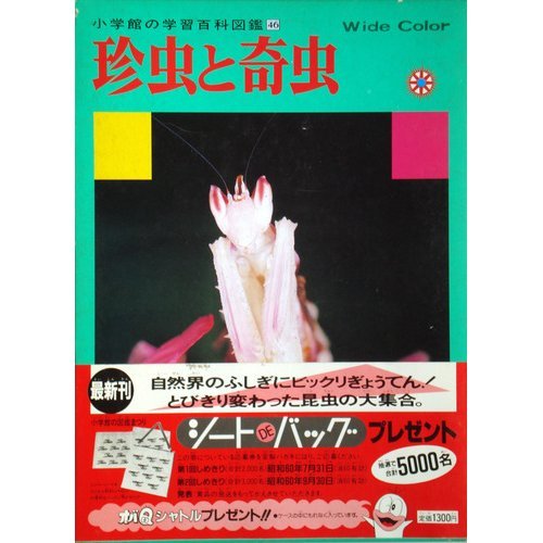 珍虫と奇虫 小学館の学習百科図鑑 46 Amazon Co Uk Books