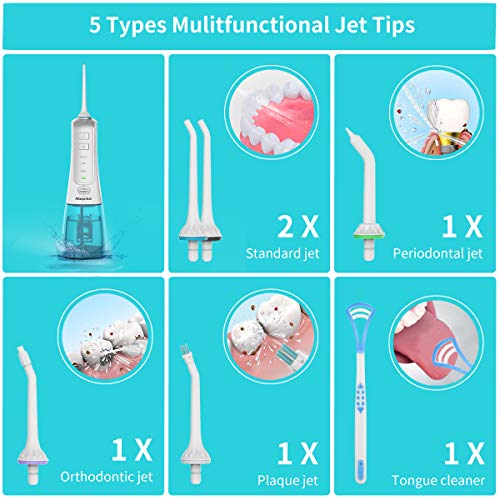 Oral Irrigator, Dental Flosser Waterproof Teeth Cleaner with 6 Jet Tips 300ML Water Tank for Home, Travel Use, Adults and Kids