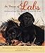 In Praise of Labs: Celebrating the World's Greatest Dog by 