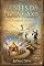 Livro LENTES DA ALMA V. XXIV: Tempos outros