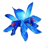 Floral Fall Hula Girl Hawaiian Orchid Flower Hair Clip for Beach HC-11 (Blue)