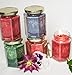 Palm Wax Candle Making Kit