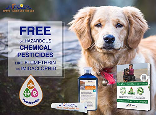 Arava Natural Flea & Tick Prevention for Dogs & Cats - 4-Doses - 100% Safe Flea & Tick Control - Repels Pests with Natural Oils - Safe on Skin and Coats - Enhanced Defense & Prevention (4 Variations)