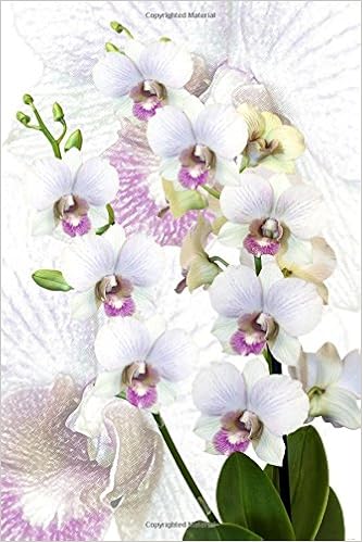 Orchid Journal White Orchid Bouquet Small Journal 6 X 9 150 Blank Lined Pages Soft Cover Diary Notebook Journalicious Amazon Com Books