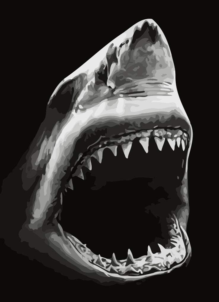 LovetheFamily Fierce Great White Shark Paint by Numbers Kits DIY Oil Painting for Kids, Students, Adults Beginner 16x20 Inch with Brushes and Acrylic Pigment (Wooden Framed)
