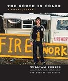 The South in Color: A Visual Journal (H. Eugene and Lillian Youngs Lehman Series)