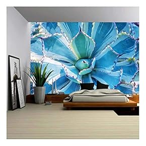 Sharp Pointed Agave Plant Leaves - Removable Wall Mural | Self-Adhesive Large Wallpaper - 66x96 inches