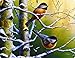 Rivers Edge Products Large 12in x 16in Decorative Tempered Glass Cutting Board, Hypoallergenic, Non Slip, Textured Surface Chopping Board for Kitchen, Cute Birds for Bird Watcher, Chickadee