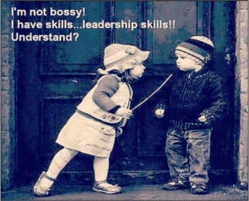2" x 3" Magnet Girl Has Leadership Skills Inspirational