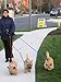 Triple Dog Leash Handle, 3 Way Dog Coupler UTurn Handle with which you can walk 3 dogs on 3 leashes and untangle in seconds. Dolphin Grey.