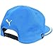 PUMA Tour Performance Monoline 210 Hat (Cloisonne, Adjustable) Golf Cap
