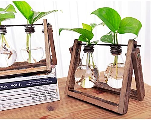 Rectangular Glass Vase Centerpieces Creative Edison Bulb For Table Decoration Water Culture Containers With Wooden Hanger Antique Finishing (2 bulbs vase)