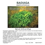 BlueArrowExpressÂ® 5 X Badiaga/Spongilla Powder - Ð‘Ð°Ð´ÑÐ³Ð°