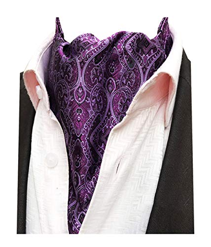 MENDENG Mens Blue Red Grey Paisley Jacquard Woven 100% Silk Cravat Necktie Ascot