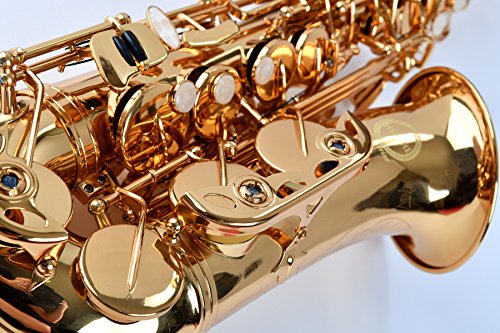 NEW! Herche Superior Alto Saxophone AS-630 Best for Students - Durable forged keys -Plush lined Saxophone BackPack Case - Leather Pads - Cork Grease - Saxophone Neck Strap - #2 Rico Saxophone Reeds