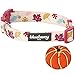 Blueberry Pet Thanksgiving Fall Obsession Ginkgo Biloba Leaf Designer Adjustable Dog Collar with Pumpkin, Medium, Neck 14.5